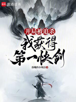 我获得第一快剑百科