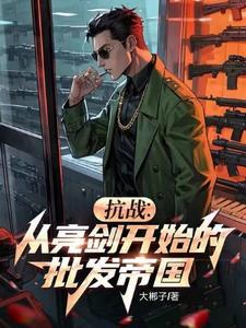 抗战从亮剑开始的批发帝国TXT 抗战从亮剑开始的批发帝国TXT