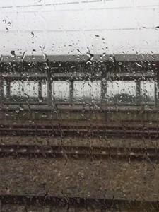 穿越东北的年代文