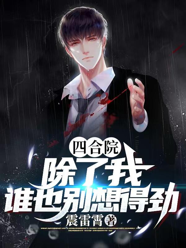 四合院类似的 四合院类似的