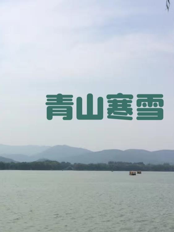 寒雪青松 寒雪青松