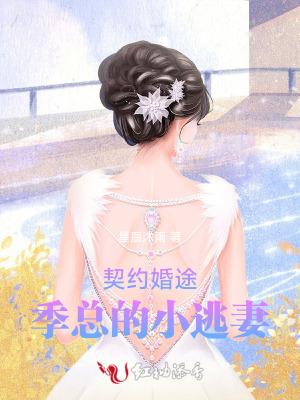 契约老公总裁追妻路漫漫