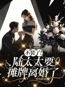 免费阅读陆太太又在闹离婚