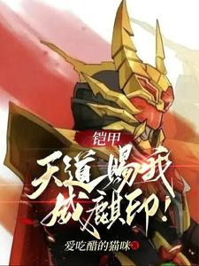 铠甲勇士中的天道