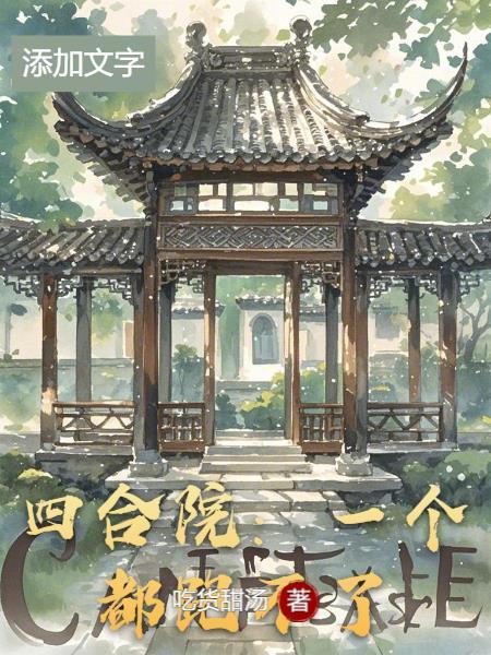 四合院坑一棒梗