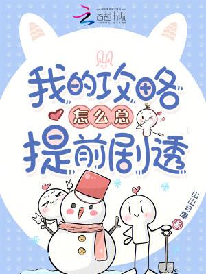 我的攻略没有问题