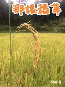 最后一根稻草是什么意思 最后一根稻草是什么意思